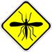 yellow fever
